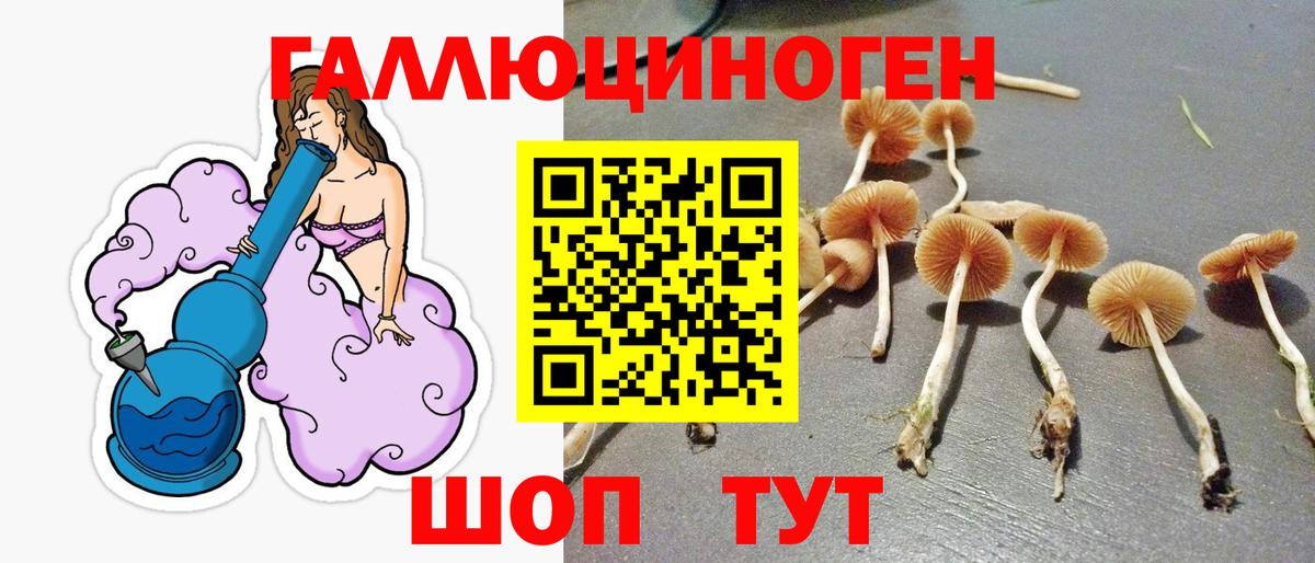 Рязань  Псилоцибиновые грибы ЛСД  продажа наркотиков  Вход с VPN 