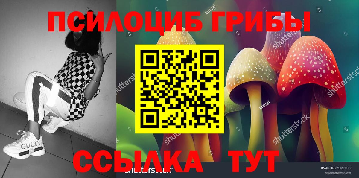 Галлюциногенные грибы Psilocybine cubensis Рязань